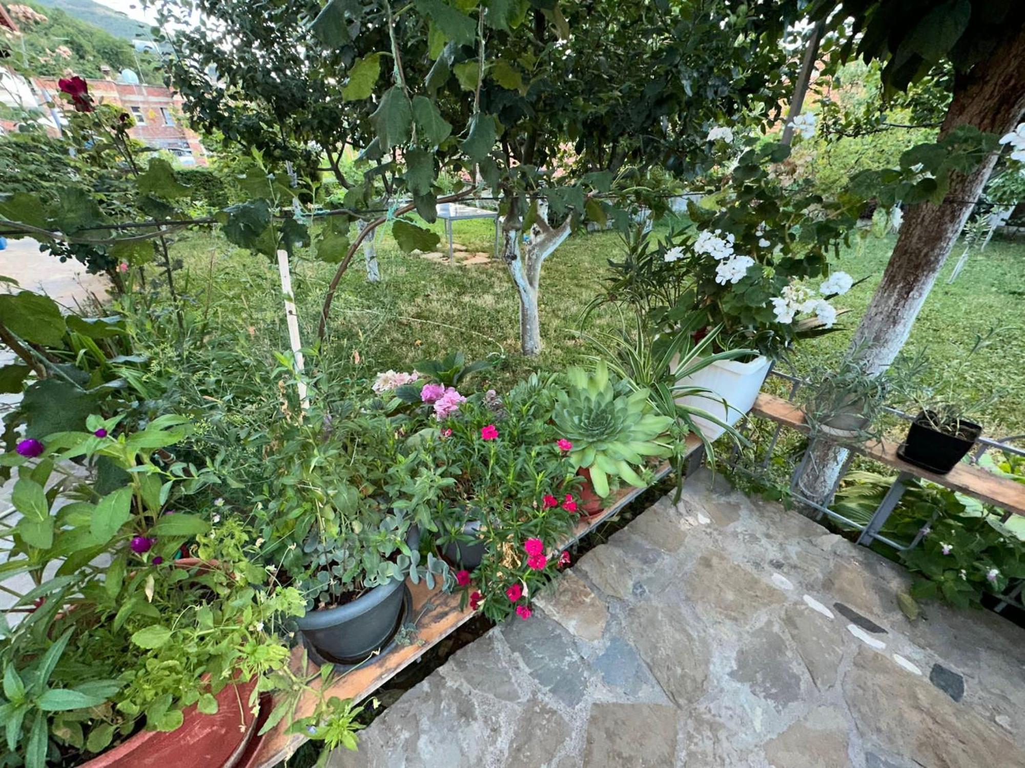 Gardenhouse Villa Memlishte Exteriör bild